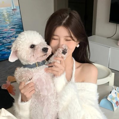 商务囧途海报